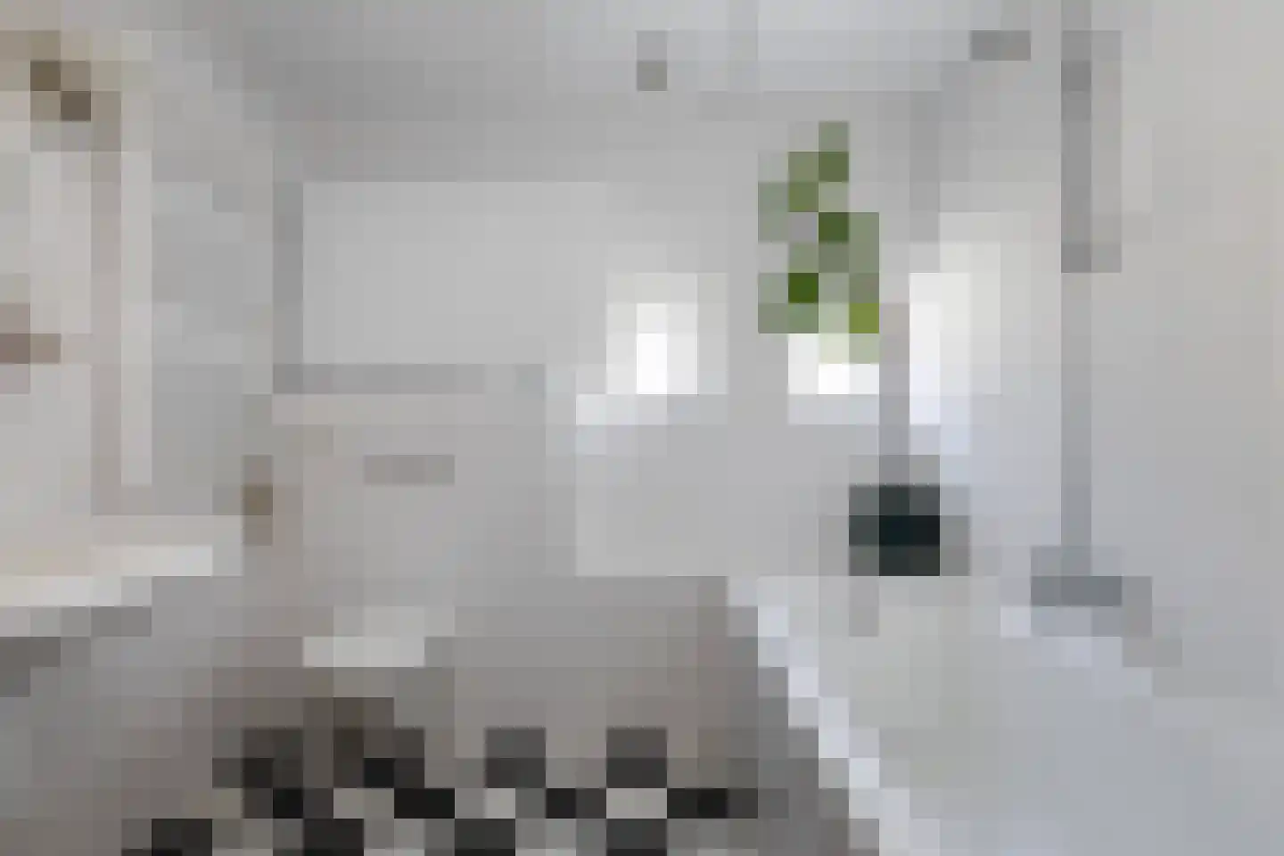 Wildbaan 17 Leersum thumbnail 31