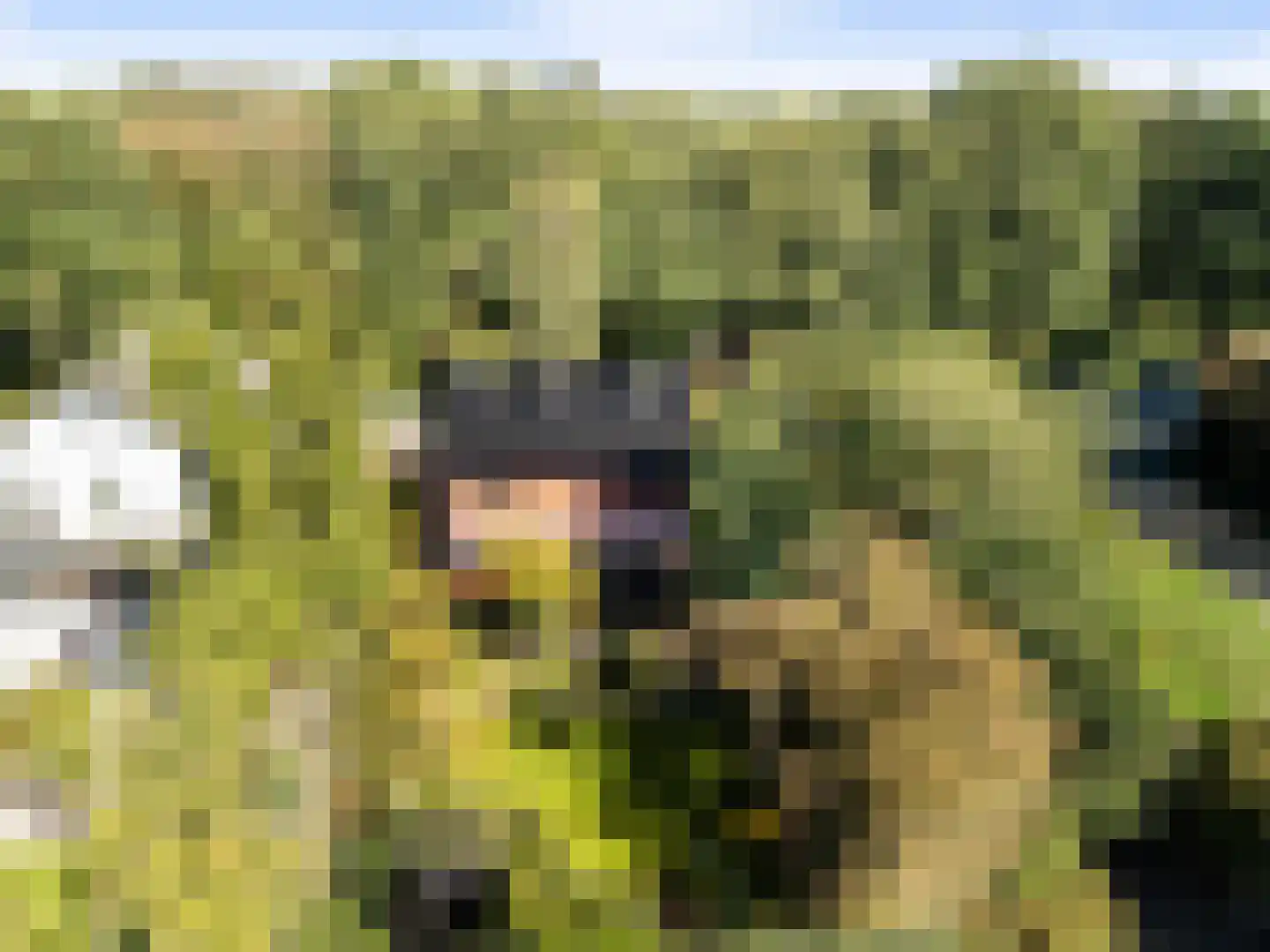 Wildbaan 17 Leersum thumbnail 35