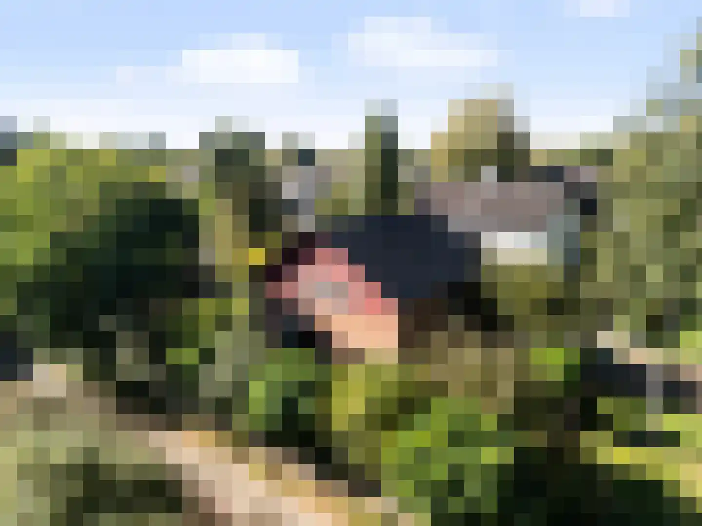 Wildbaan 17 Leersum thumbnail 36