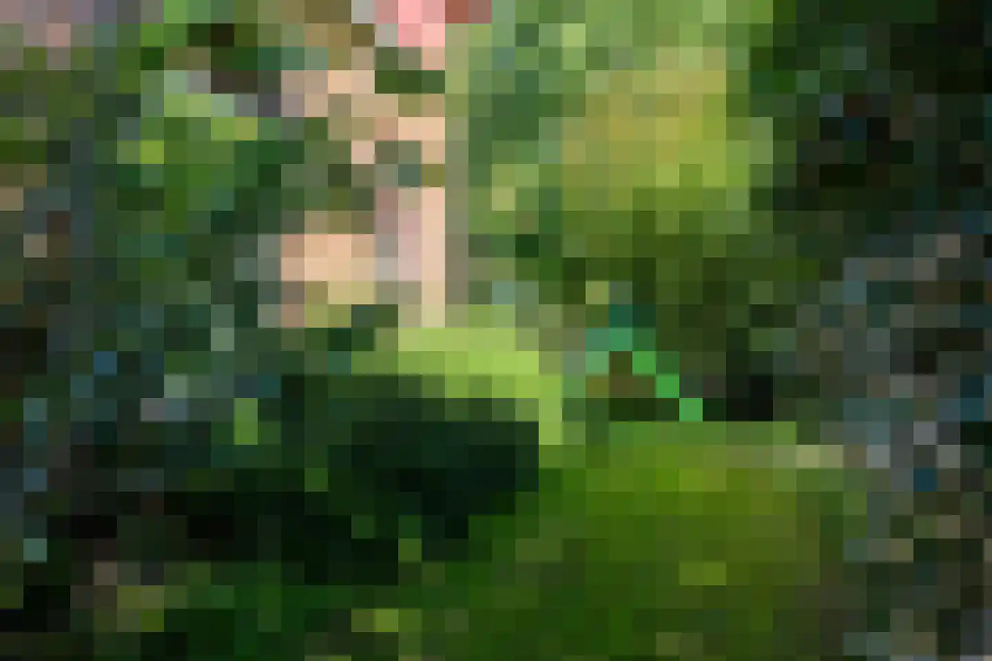 Wildbaan 17 Leersum thumbnail 37