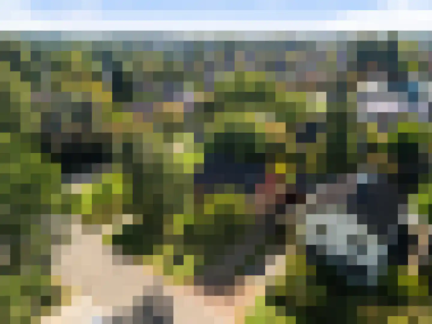 Wildbaan 17 Leersum thumbnail 38