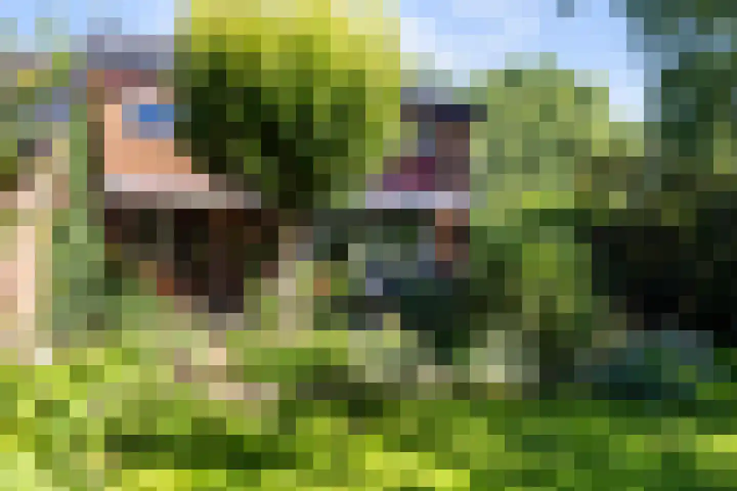 Wildbaan 17 Leersum thumbnail 5