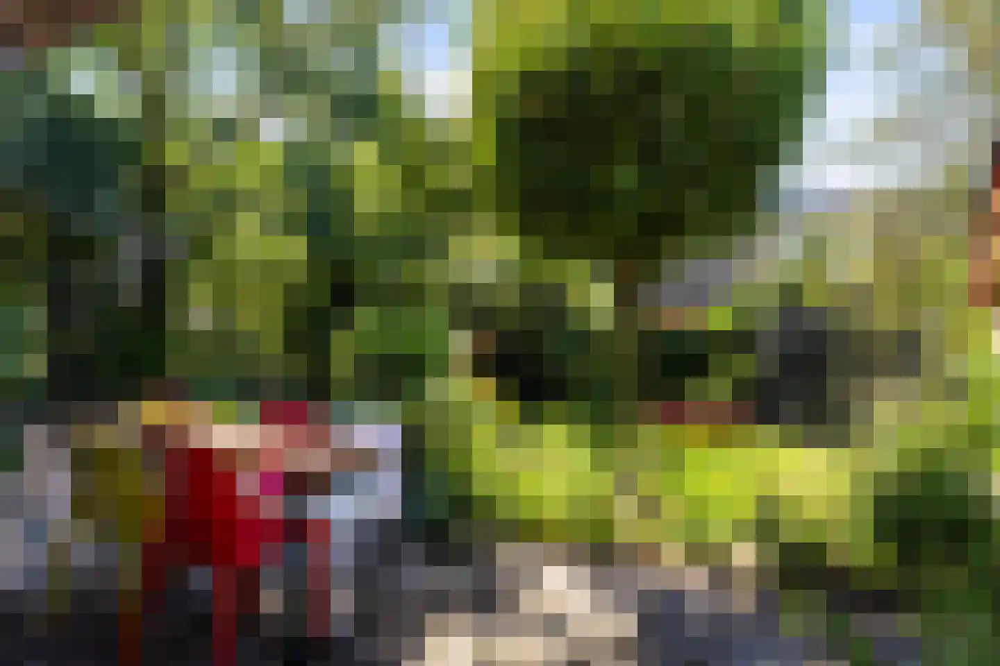 Wildbaan 17 Leersum thumbnail 6