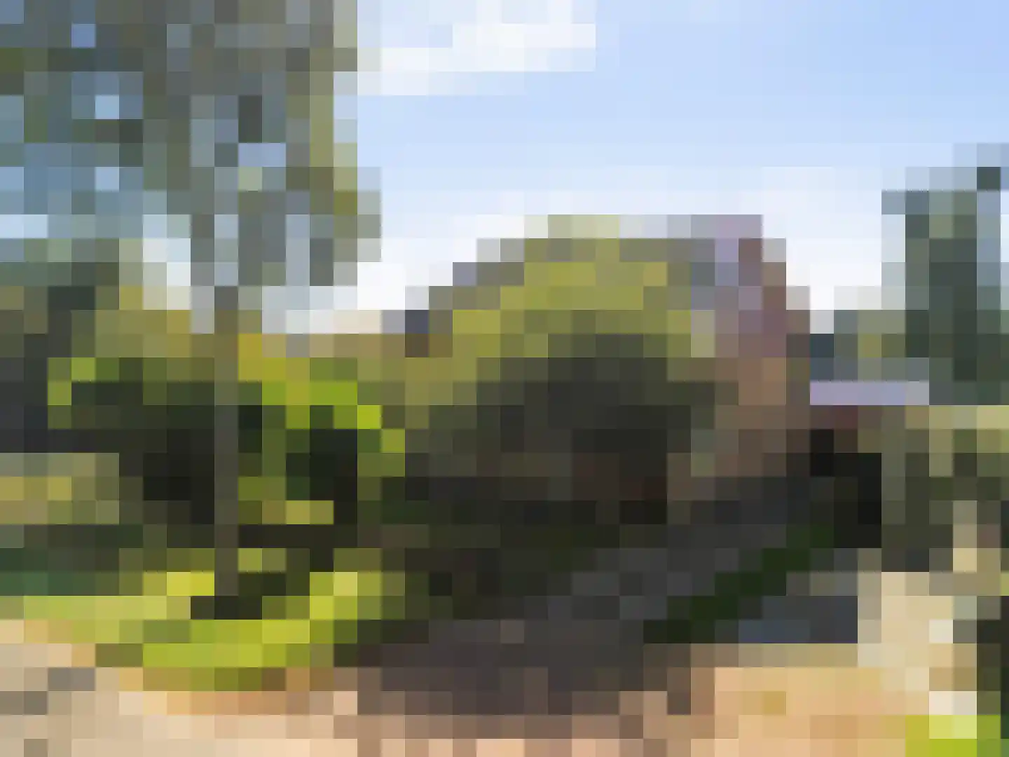 Wildbaan 17 Leersum thumbnail 9