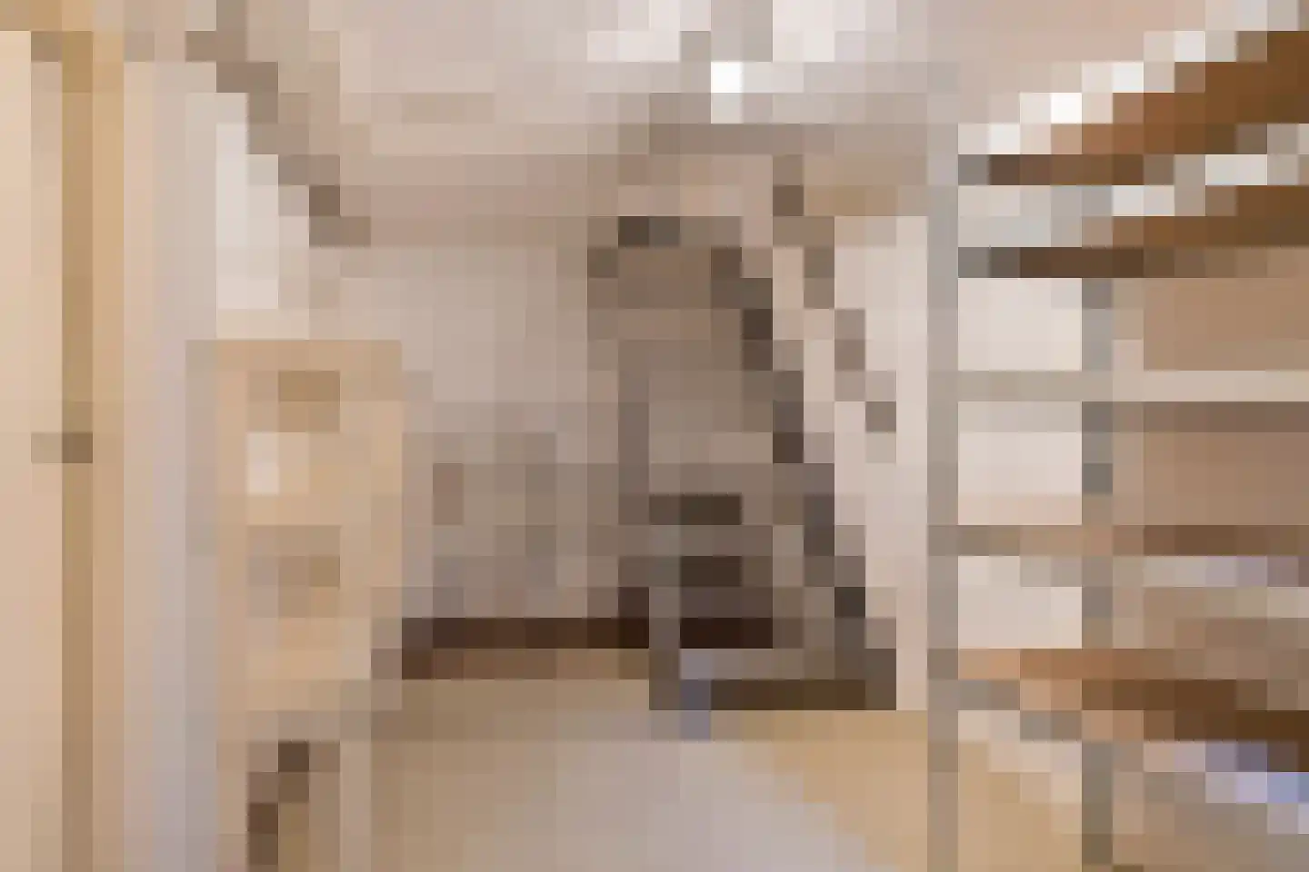 Wildbaan 19 Velp thumbnail 21