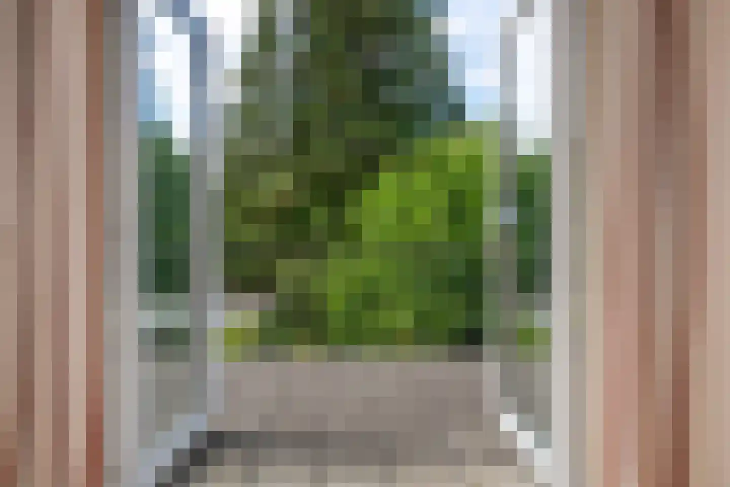 Wildbaan 19 Velp thumbnail 31