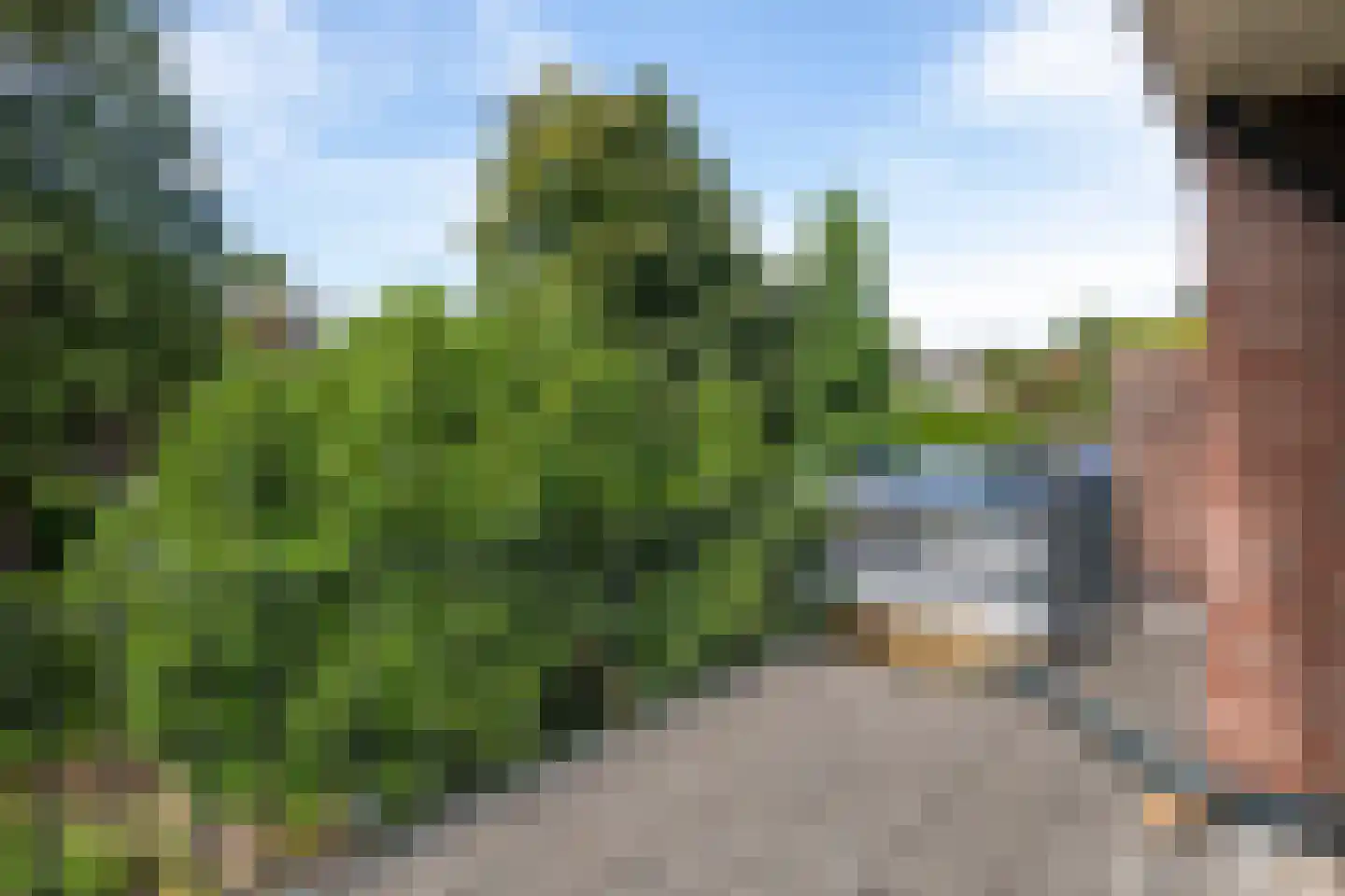 Wildbaan 19 Velp thumbnail 32