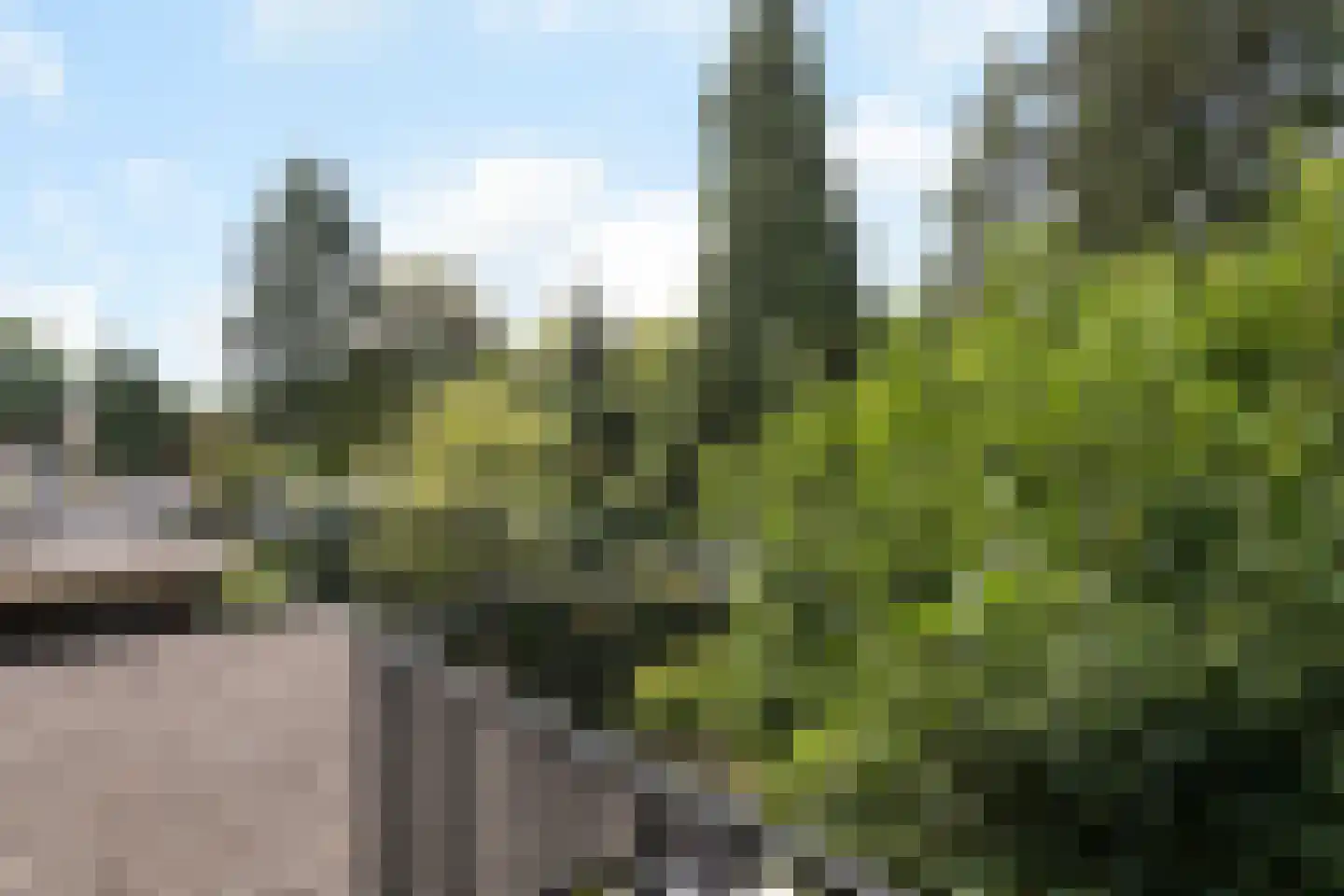 Wildbaan 19 Velp thumbnail 37