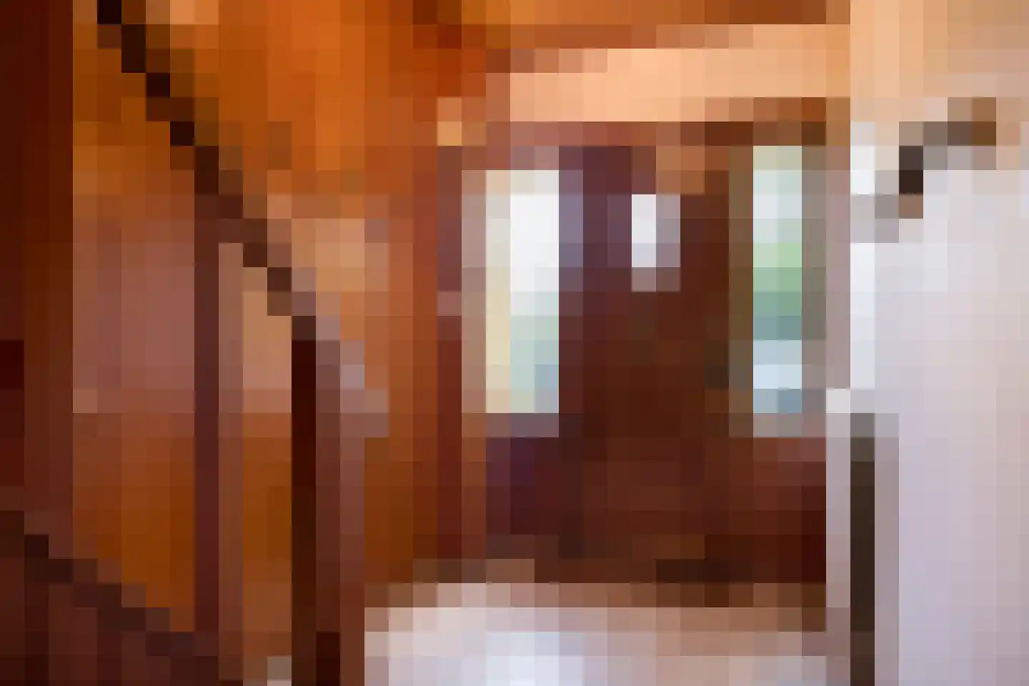 Wildbaan 19 Velp thumbnail 4