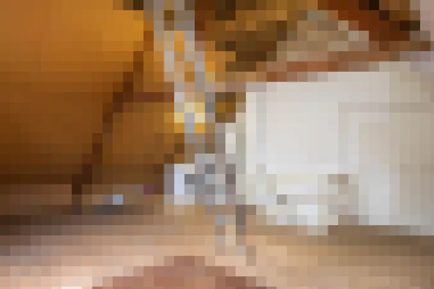 Wildbaan 19 Velp thumbnail 42