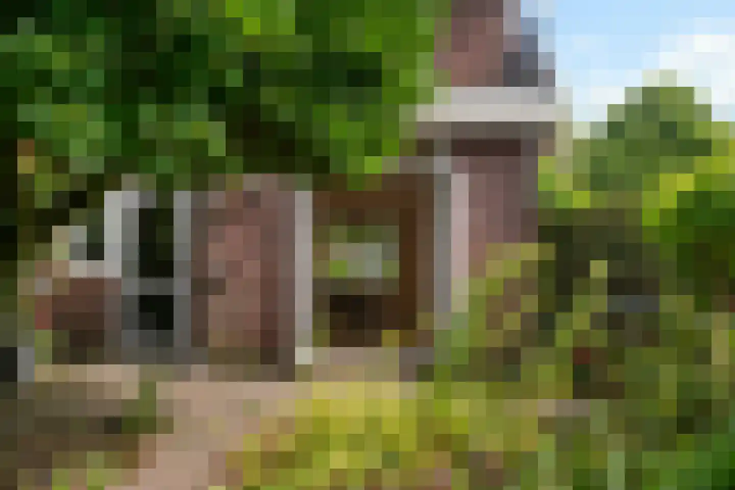 Wildbaan 19 Velp thumbnail 45
