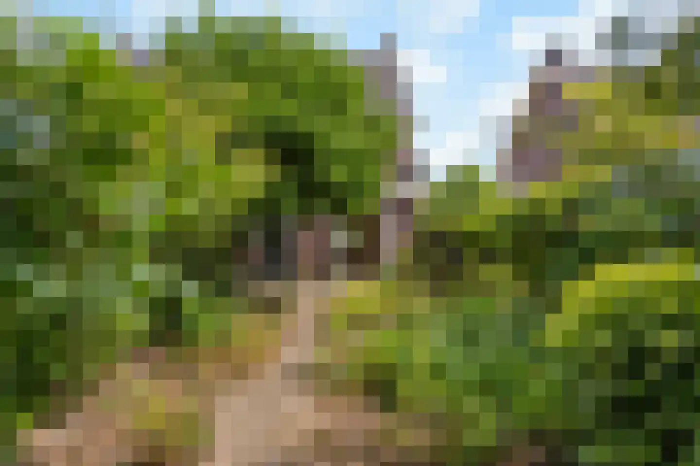 Wildbaan 19 Velp thumbnail 46