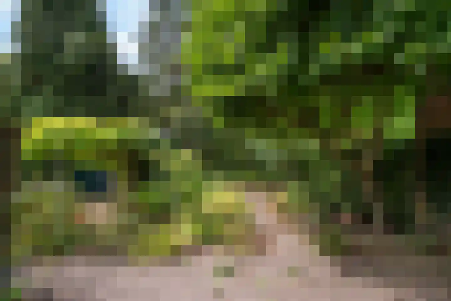Wildbaan 19 Velp thumbnail 47