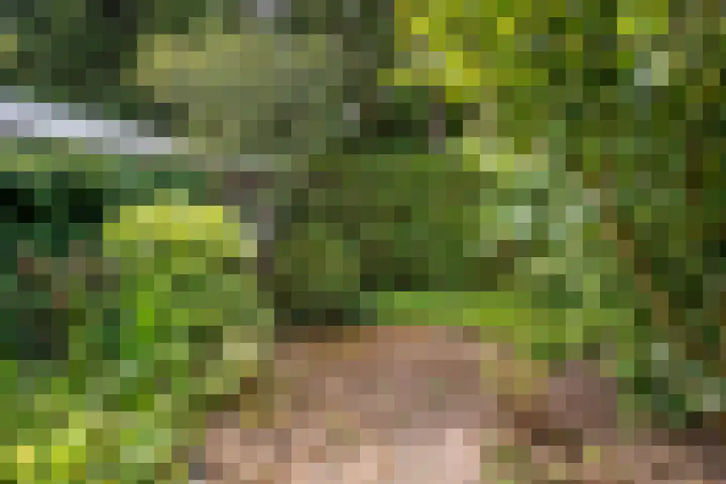 Wildbaan 19 Velp thumbnail 48