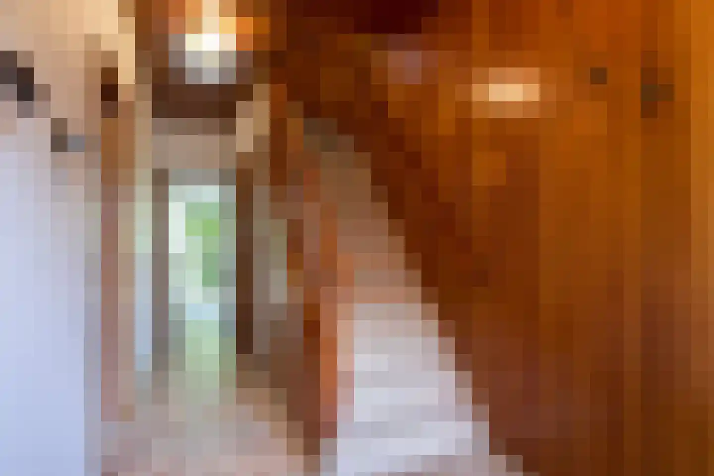 Wildbaan 19 Velp thumbnail 5