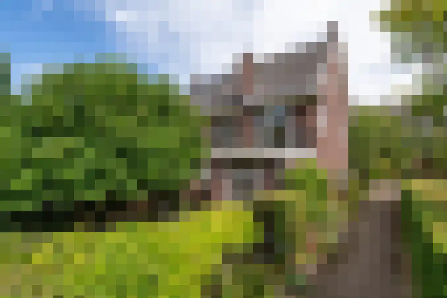 Wildbaan 19 Velp thumbnail 50