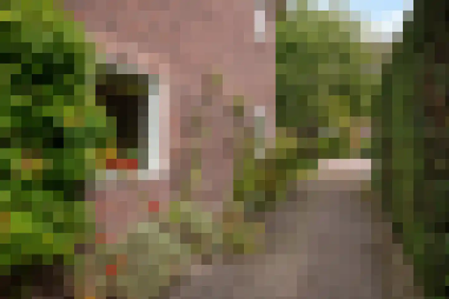 Wildbaan 19 Velp thumbnail 51