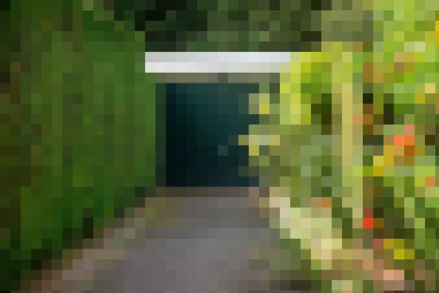 Wildbaan 19 Velp thumbnail 52