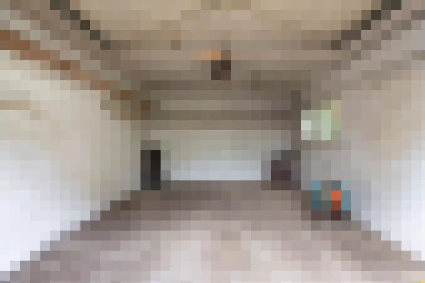 Wildbaan 19 Velp thumbnail 53
