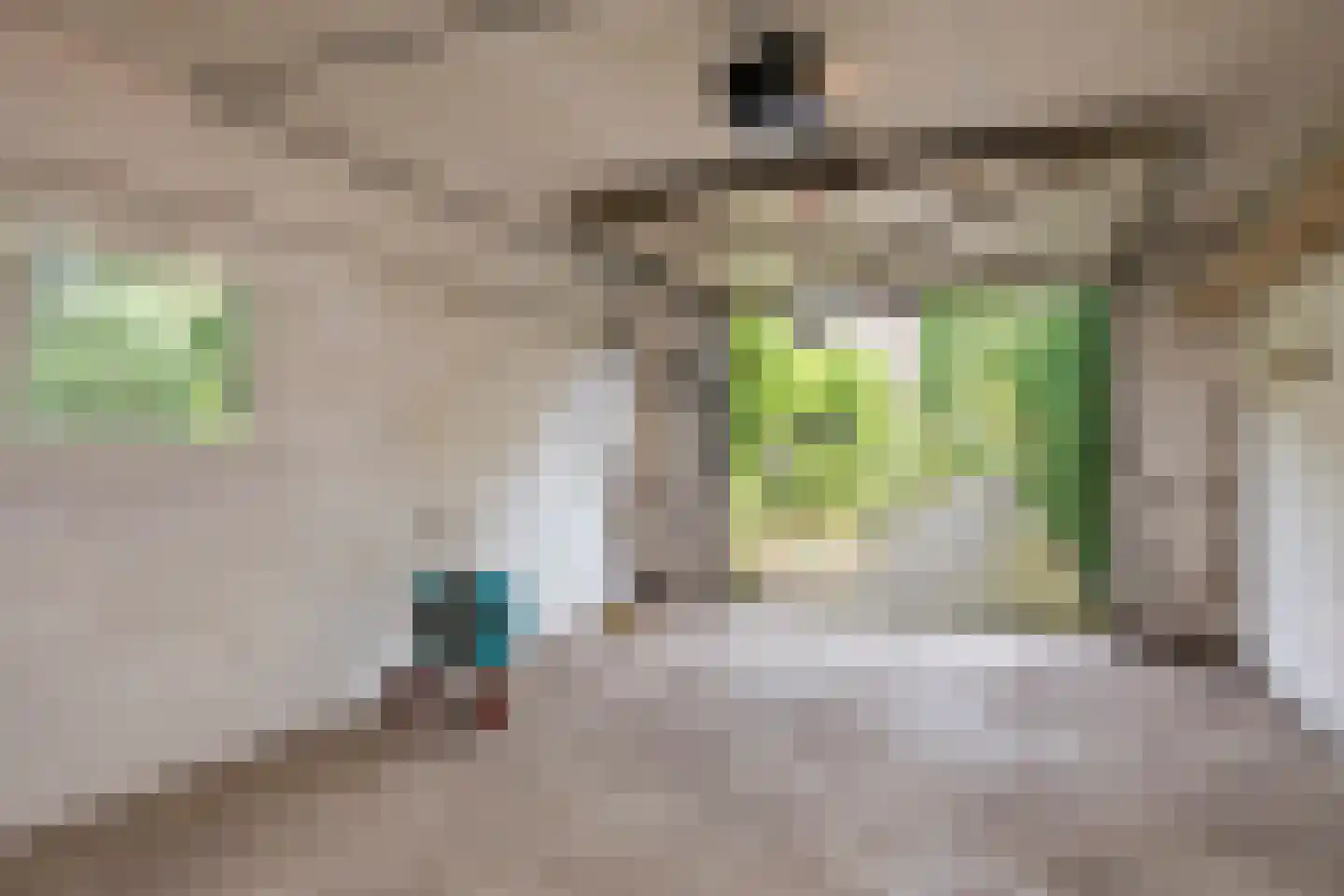 Wildbaan 19 Velp thumbnail 54