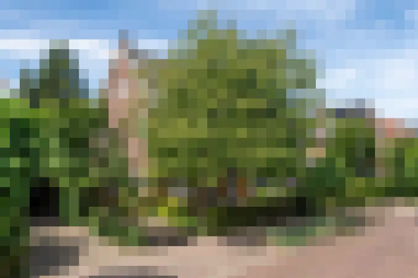 Wildbaan 19 Velp thumbnail 56