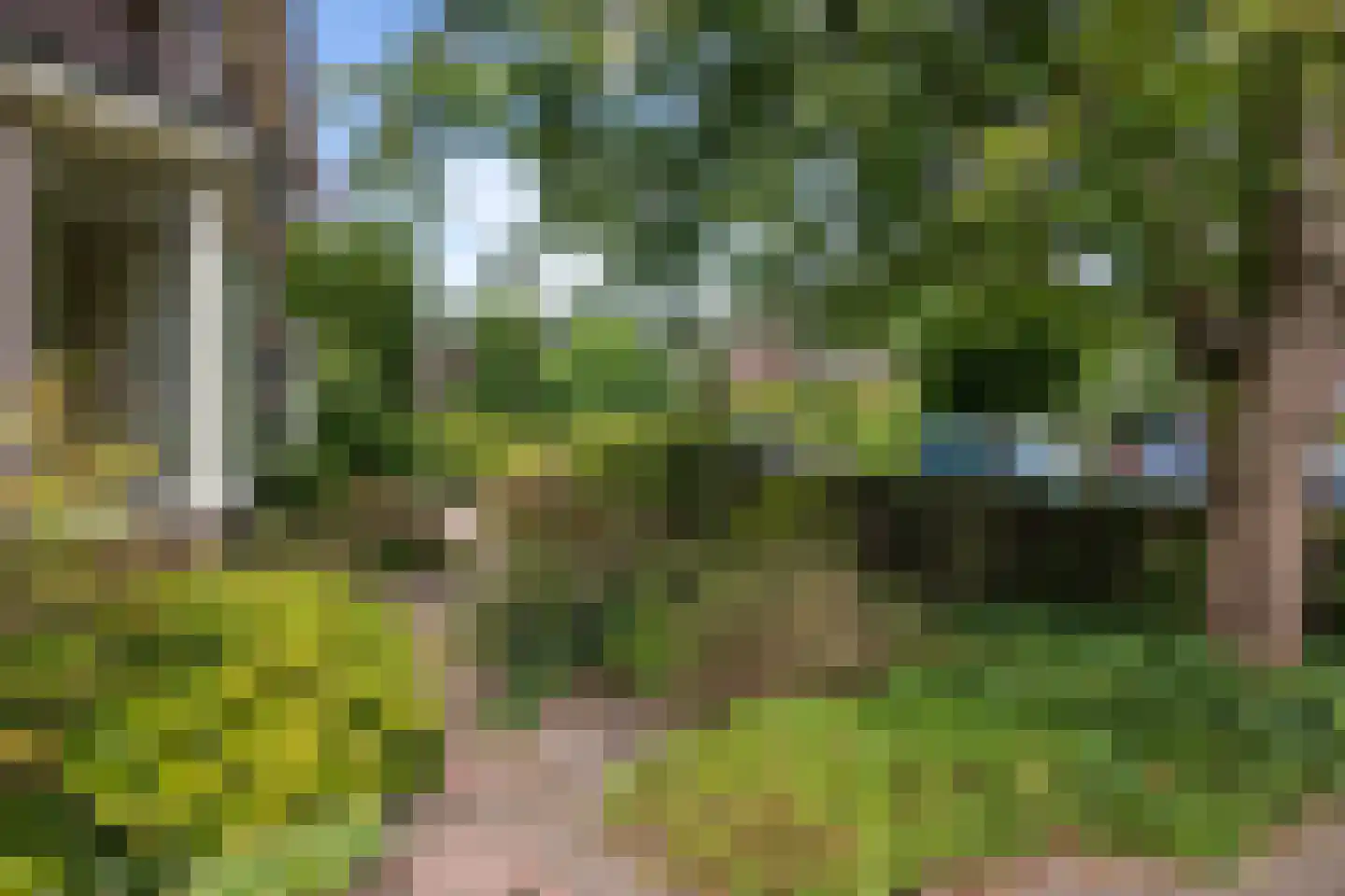 Wildbaan 19 Velp thumbnail 58