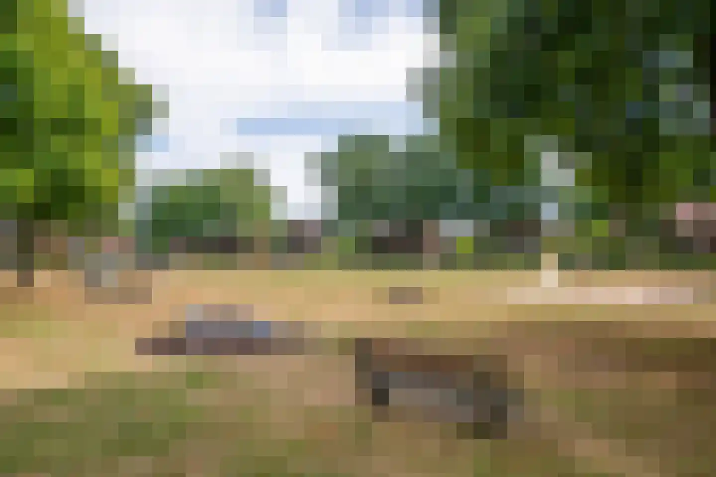 Wildbaan 19 Velp thumbnail 60
