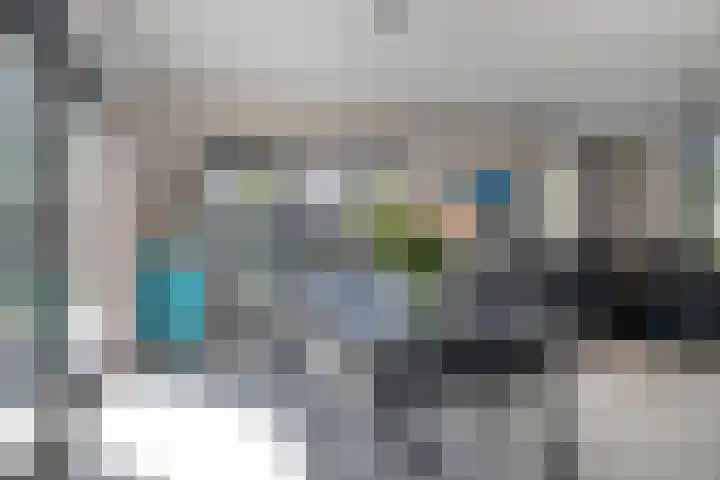 Wildbaan 2 Vlissingen thumbnail 15