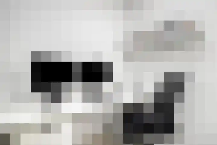 Wildbaan 2 Vlissingen thumbnail 35