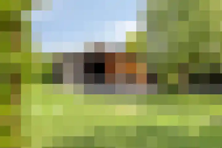 Wildbaan 2 Vlissingen thumbnail 4