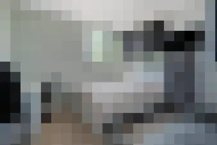 Wildbaan 2 Vlissingen thumbnail 46