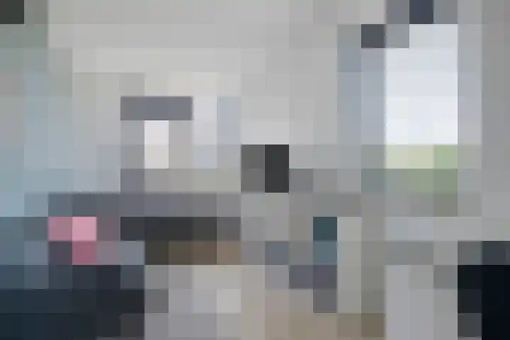 Wildbaan 2 Vlissingen thumbnail 47