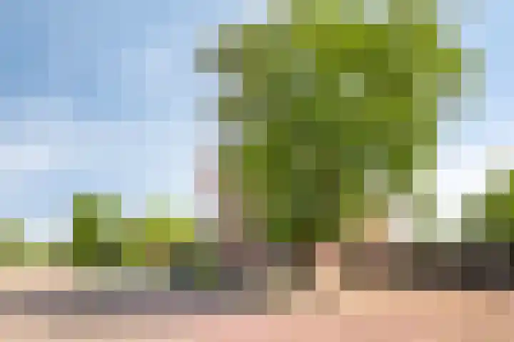 Wildbaan 2 Vlissingen thumbnail 5