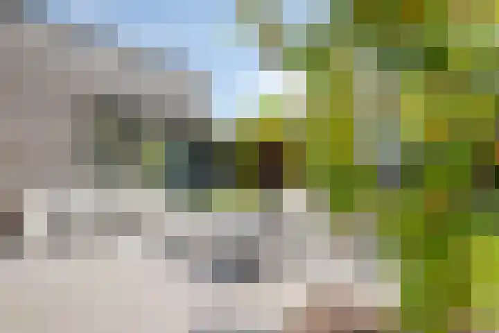Wildbaan 2 Vlissingen thumbnail 56