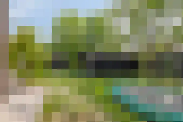Wildbaan 2 Vlissingen thumbnail 59