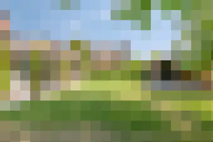 Wildbaan 2 Vlissingen thumbnail 60