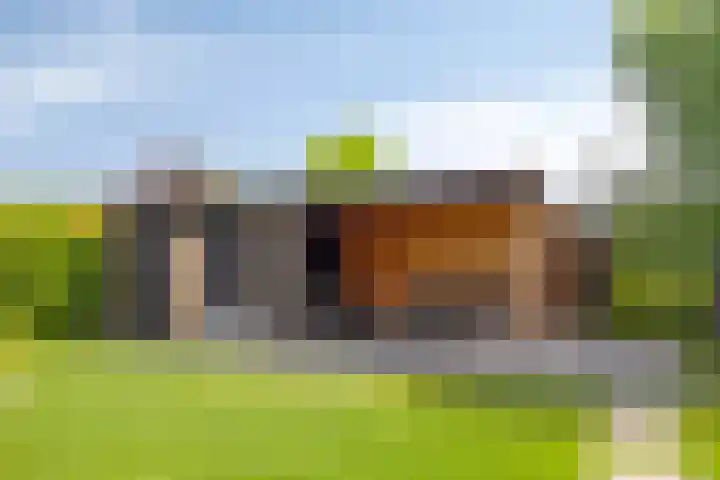 Wildbaan 2 Vlissingen thumbnail 61