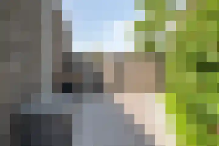 Wildbaan 2 Vlissingen thumbnail 63