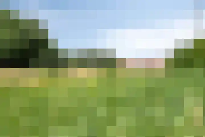 Wildbaan 2 Vlissingen thumbnail 64