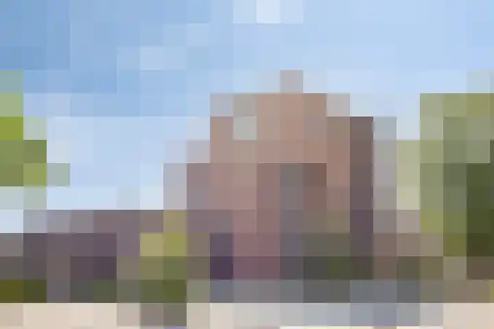 Wildbaan 2 Vlissingen thumbnail 65