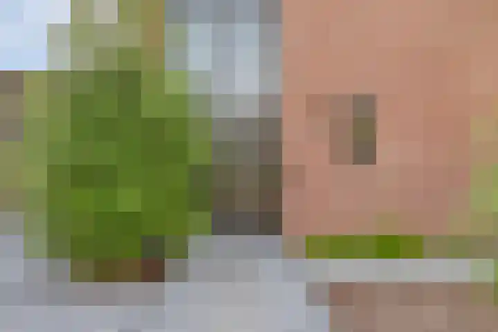 Wildbaan 2 Vlissingen thumbnail 7