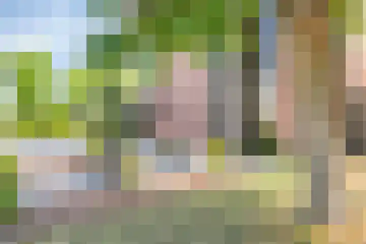 Wildbaan 2 Vlissingen thumbnail 8