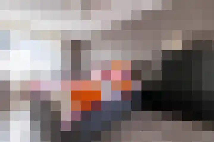 Wildbaan 20 Rotterdam thumbnail 13