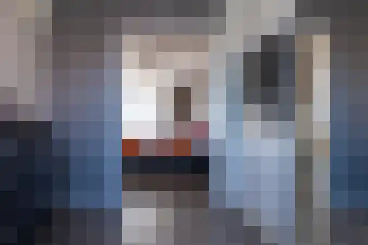 Wildbaan 20 Rotterdam thumbnail 15