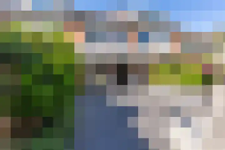 Wildbaan 20 Rotterdam thumbnail 21