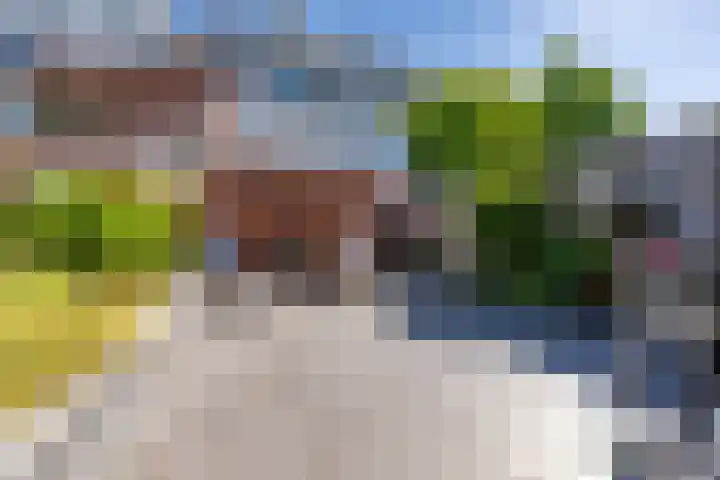 Wildbaan 20 Rotterdam thumbnail 4