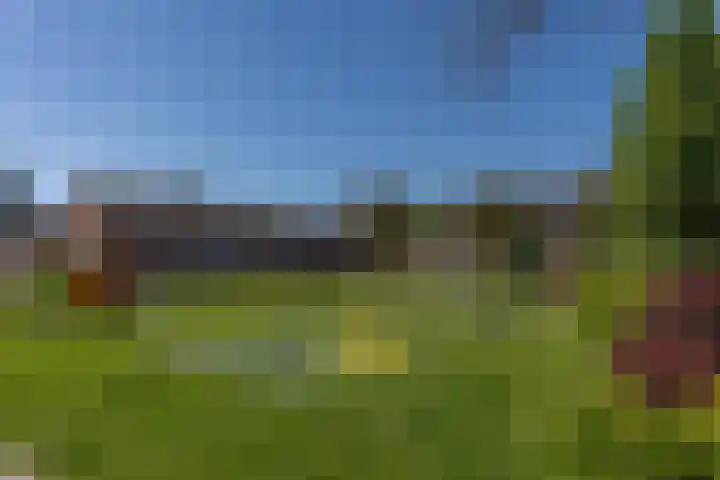 Wildbaan 20 Rotterdam thumbnail 5