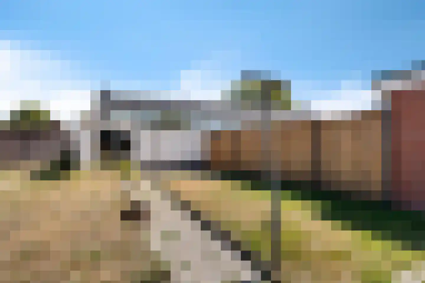 Wildbaan 21 Nieuw-Amsterdam thumbnail 20