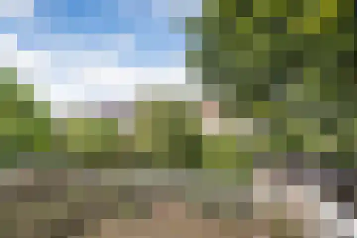 Wildbaan 3 Leersum thumbnail 29