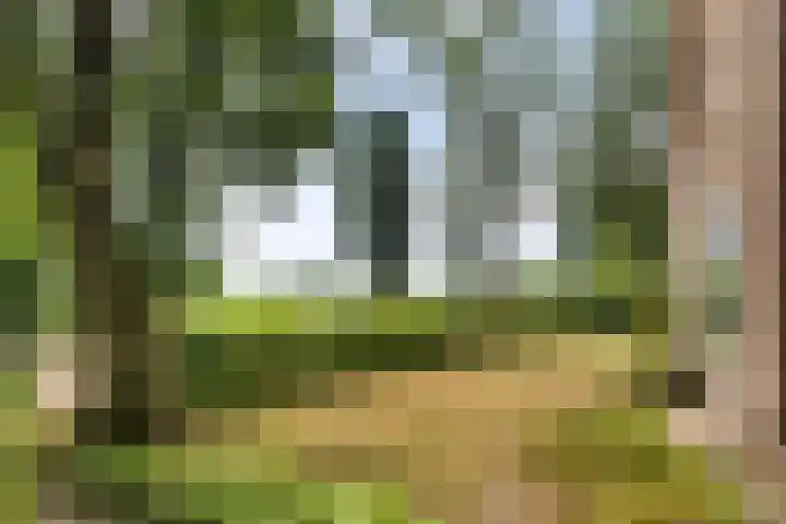 Wildbaan 3 Leersum thumbnail 36